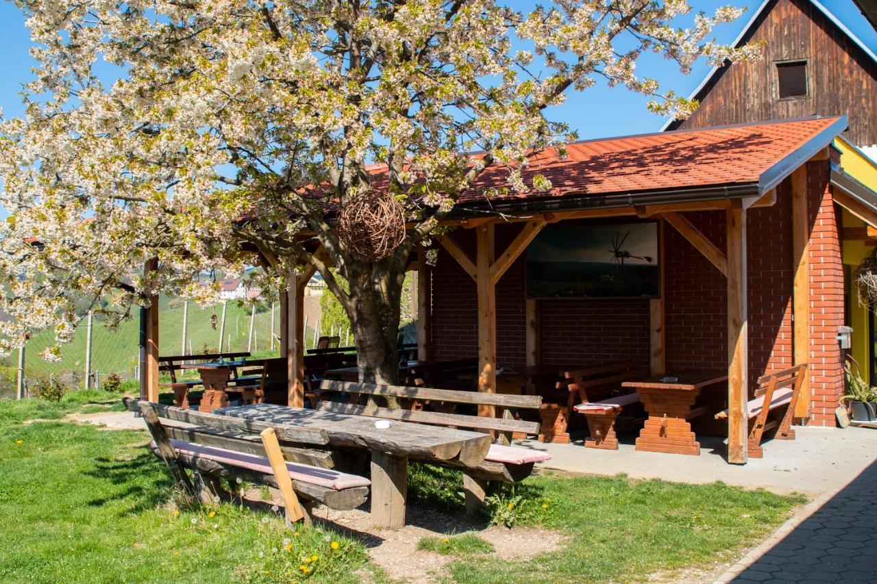 Turisticna Kmetija Dreisiebner Villa Spicnik Dış mekan fotoğraf